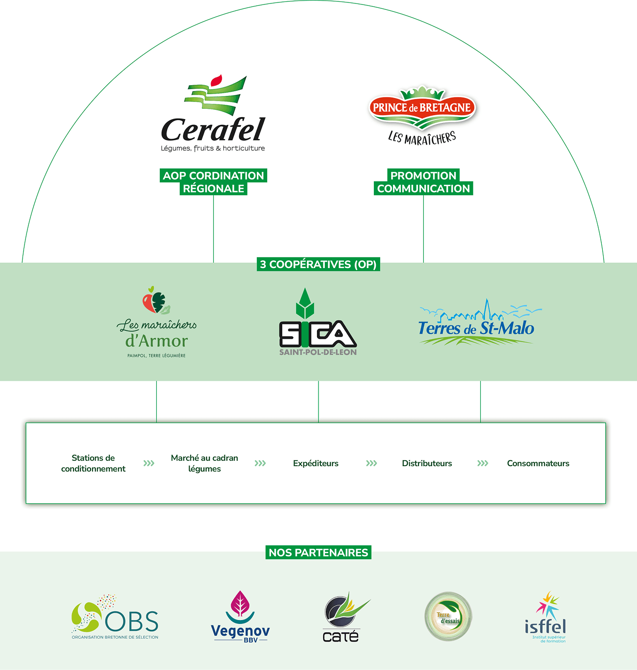 Schéma des 3 coopératives