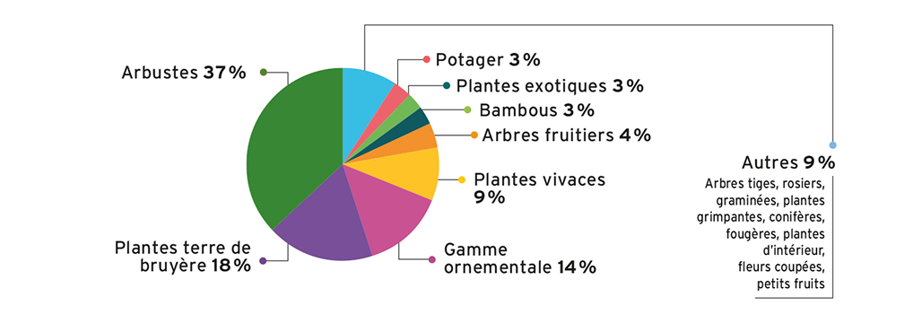 Graphique sur la production de fruits & légumes