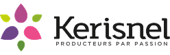 logo Kerisnel