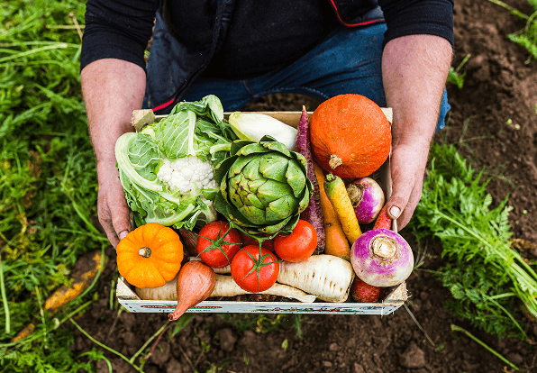 panier de légumes de la Sica