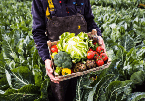 Un producteur montre un panier de légumes à la Sica