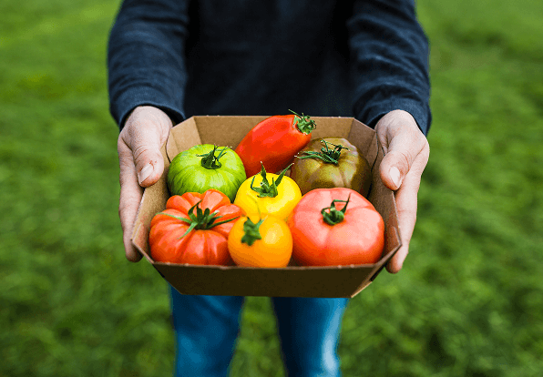Panier de tomates