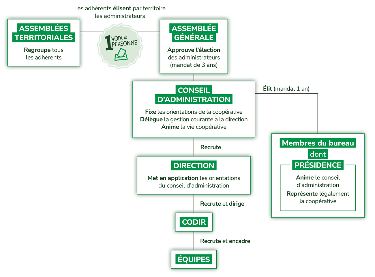 Schéma de gouvernance de la coopérative