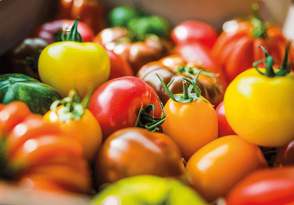 des tomates de la Sica